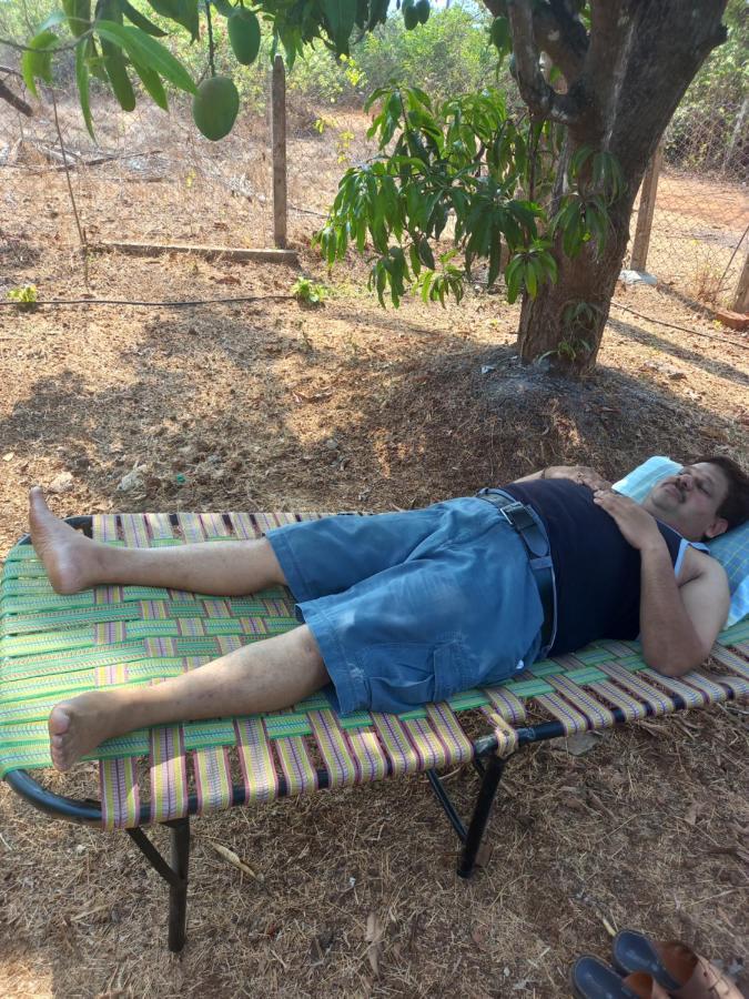 Misty Woods Eco Cottages Harihareshwar Exteriör bild
